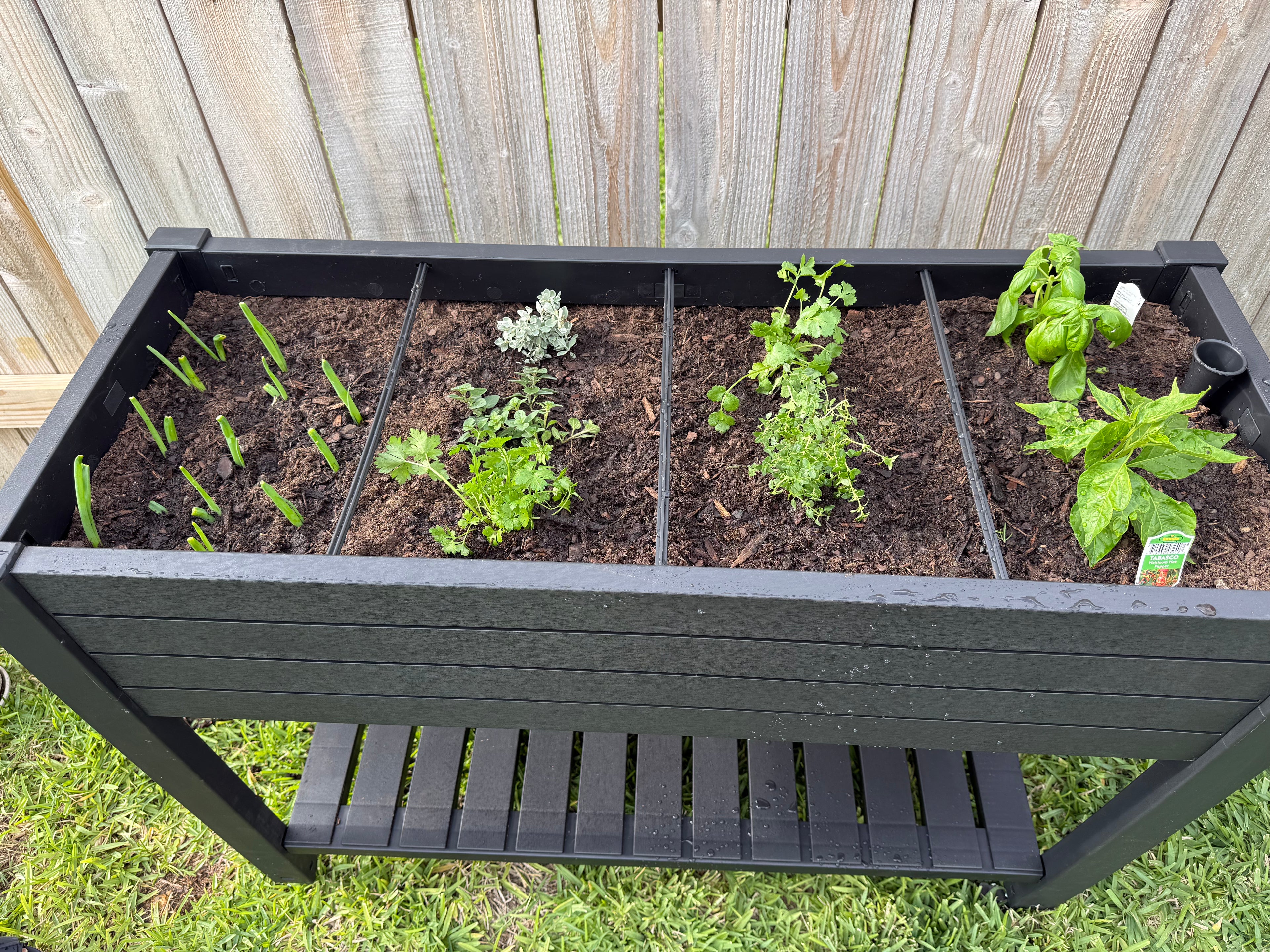 Elevated Planter Box 2