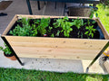 Elevated Planter Box 3