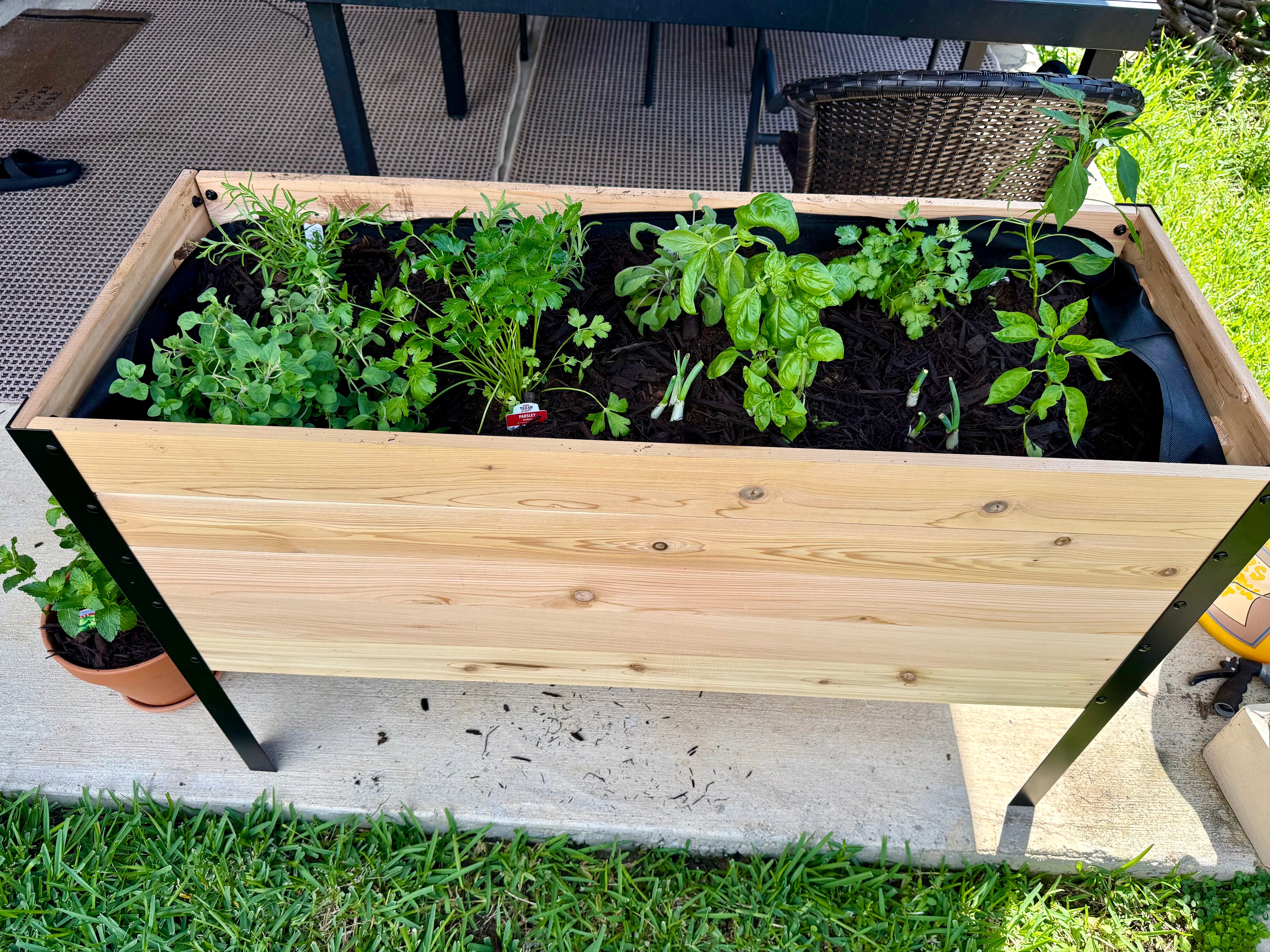 Elevated Planter Box 3